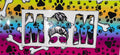 #18 Dog Mom Paw Print Rainbow Heart Tumbler Decal